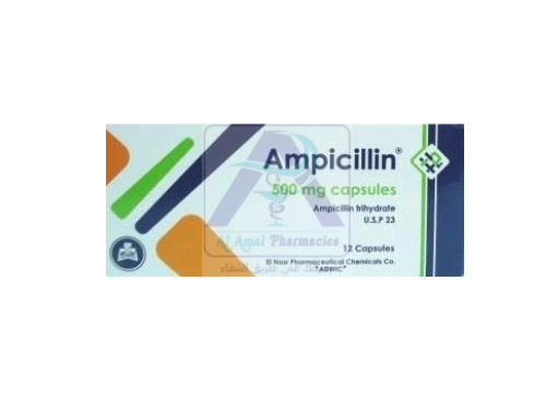 AMPICILLIN   500 MG  12 CAP