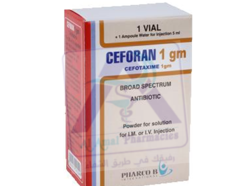 CEFORAN 1GM 1 VIAL