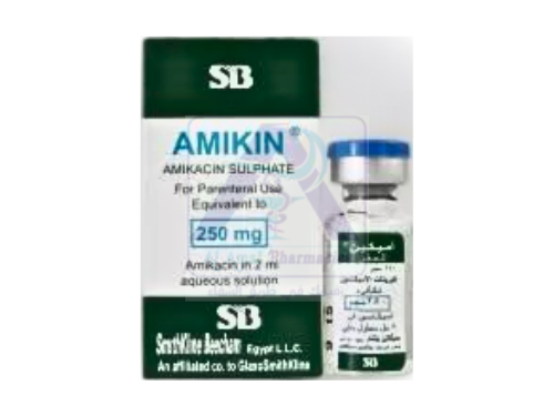 AMIKIN  250 MG  1 VIAL 2 ML