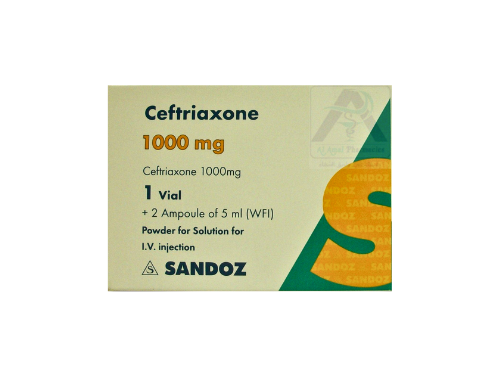 CEFTRIAXONE   1GM   I.V   1-VIAL